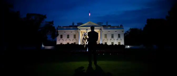 Тень енота над Белым домом: Дональд Трамп не поскупился на колкости в адрес Кеннеди-младшего